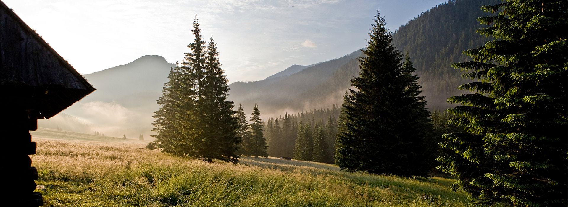 hotel Białka Tatrzańska alojamiento en las montañas restaurante SPA Wellness montañas Tatry Polonia